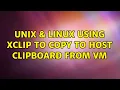 Unix Linux Using xclip to copy to host clipboard from VM