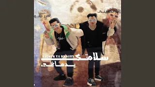                       سلامتك يا دماغى دندنها