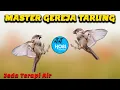 Download Lagu MASTER GEREJA TARUNG Jeda Terapi Air AMPUH