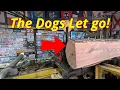 Sawing more pallet slats 911