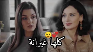 كلها غيرانة خلو لي يغير مننا شيرين ايدا وسركان مسلسل انت اطرق بابي 