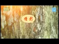 Vivian 梁钰晶 - 【倩 影】 Official Music Video