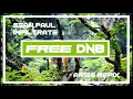 Sean Paul ~ Infiltrate ~ Aries Refix {Free Dnb Download}