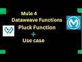 Session 5 Pluck Function How to use it Use Cases Dataweave 2 0 Mule 4 Mulesoft