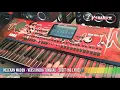 Download Lagu MELEKAN WADON( dian anic) - VERSI ANEKA TUNGGAL - KENZHU ORGAN 💲