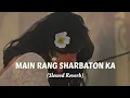 Main Rang Sharbaton Ka - Slowed Lofi - Official Music Video - Artistvan 