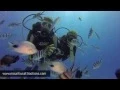Lagu PADI Open Water Diver Course - Cours plongée PADI (Mauritius – Ile Maurice)