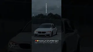 دقات القلب   دندنها