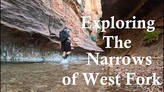 Exploring the Narrows of West Fork Oak Creek Canyon Sedona
