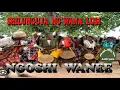 Lagu SHILUNGUJA NG'WANA LUSI_SONG_NGOSHI WANE 2023_OFFICIAL MUSIC VIDEO (Online Video)