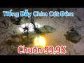 Download Lagu Tiếng Bẫy Chim Cút Đêm Chuẩn 2024 Hiệu Quả