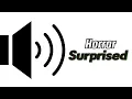 Download Lagu Surprised Horror - Free Sound Effects For Youtube Videos