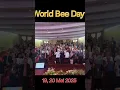 Download Lagu 🌍🐝 WORLD BEE DAY 2025 – GLOBAL CELEBRATION FROM INDONESIA📍 Venue: Bale Sawala, #bee #worldbeeday