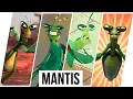 Master Mantis Evolution 2024 Kung Fu Panda