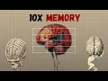 Improve Your Memory Right Now