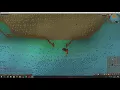 CPK0224 FAIRY RING OSRS CLUE SCOLL