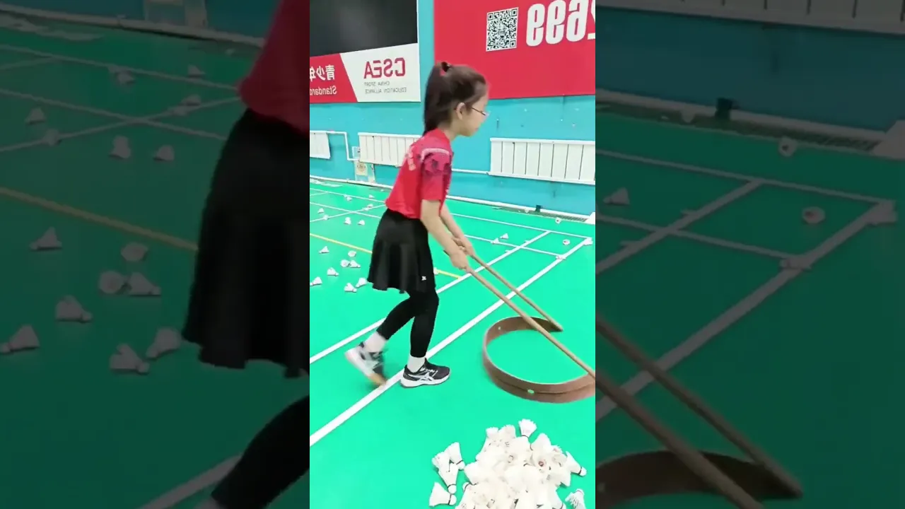 Gom quả cầu lông