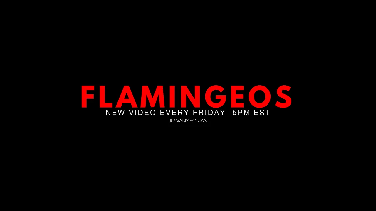 Flamingeos LIVE stream!