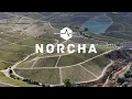 NORCHA Expeditie Race 2025 - Ontdek de Douro