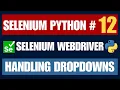 Selenium Python Handling Dropdowns