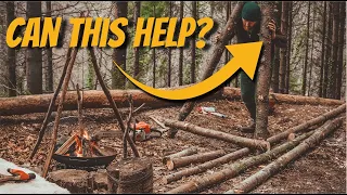 We Bought a Woodland – Ep2 – A Problem in the Woods