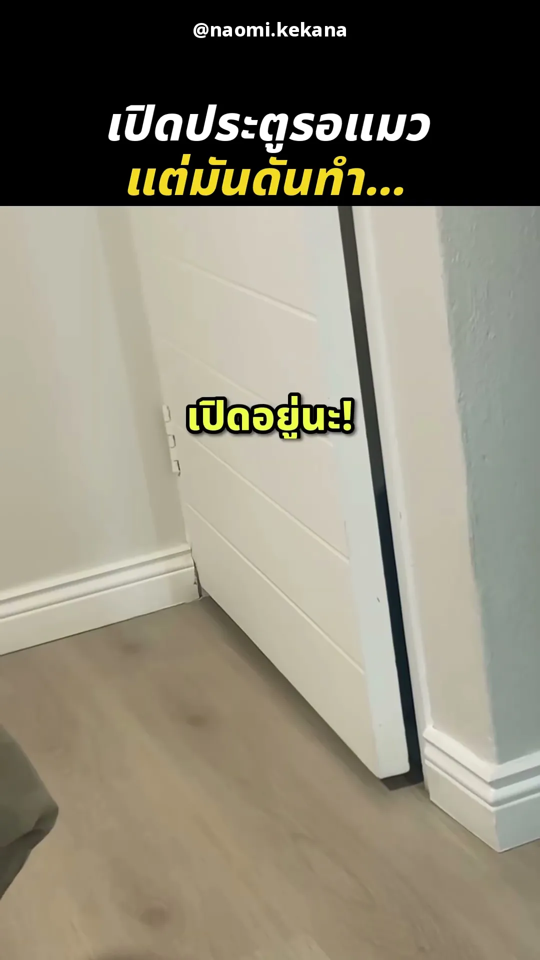 ผลักสิ ไม่ใช่ดึง 😹🚪