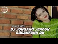 Download Lagu DJ DAYAK JUNGANG JENGUK | PONY VALLEN - FrengkyRmx