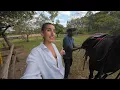 Download Lagu OUR HORSE TRAINER IS HERE !! 🐎