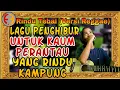 Download Lagu Rindu Tebal Cover Reggae - Iwan Fals | Fingerstyle | Fadhel Fikri