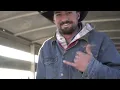 Desert Cattle Drive on Untrained Horses!