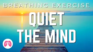 Download Breathing Exercises with Guided Meditation | 5 Minutes | TAKE A DEEP BREATH MP3