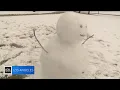 Rare snowfall in Yucaipa leads to closed schools and snow fun