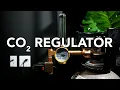 All About the CO2 Regulator
