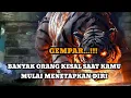Download Lagu JIWA TERPILIH _ BANYAK ORANG KESAL SAAT KAMU MULAI MENETAPKAN DIRI 