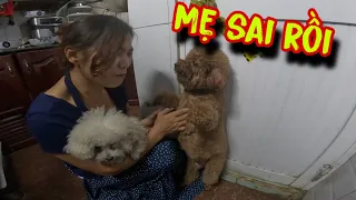 #154: MẸ và BÔNG bị tiêu chảy KAKA