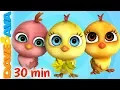 Little Chicks More Nursery Rhymes Kids Songs Dave and Ava