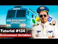 Environment Variables in Next js Sigma Web Development Course - Tutorial