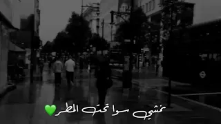 وكتير عبالي شو خطر نمشي سوا تحت المطر متل فراشات الزهر ونطير    دندنها