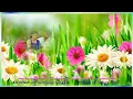 Download Lagu மன்னவனே மன்னவனே