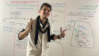 العلاقة بين بنية ووظيفة البروتين الجزء 2 