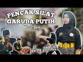 Download Lagu PENCAK SILAT NENG MUTIA MENGHIBUR ACARA PERNIKAHAN PUTRI BPK RAHMAN CUPAS WETAN