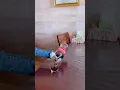Download Lagu New Funny Videos 2021, Chinese Funny Video try not to laugh #short P1545