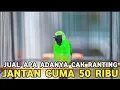 Lagu JUAL APA ADANYA YANG PENTING GAK MENGECEWAKAN || BURUNG POPULER DIJUAL 50 RIBUAN DI PB PRAMUKA 