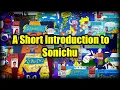 Sonichu The Electric Hedgehog Pokemon Issues - 16
