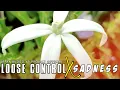 Download Lagu •Cinematic ,Losse Control X sadness _ Irpan busido 69 project