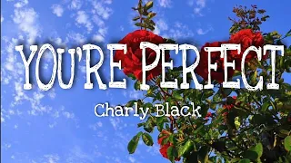 Download #You're perfect CHARLY BLACK- YOU'RE PERFECT | you're perfect body with a perfect smile (slowtiktok) MP3