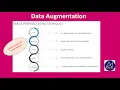 Computer Vision - Data Augmentation-Small dataset