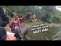 Download Lagu UMPAN PELET||BIKIN LAPAK SEBELAH GIGIT JARI 