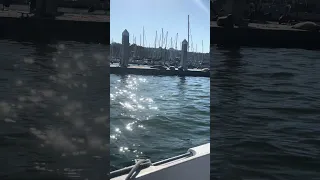#fyp #vlog #sailing #pets #doberman