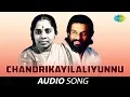 Download Lagu Chandrikayilaliyunnu Audio Song | Bharyamar Sookshikkuka | K.J. Yesudas, P. Leela Hits